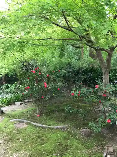 浄智寺の庭園