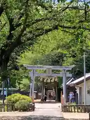 前玉神社の鳥居