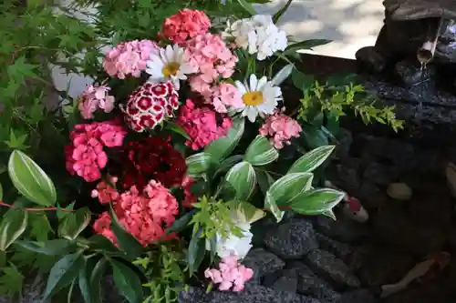 滑川神社 - 仕事と子どもの守り神の手水