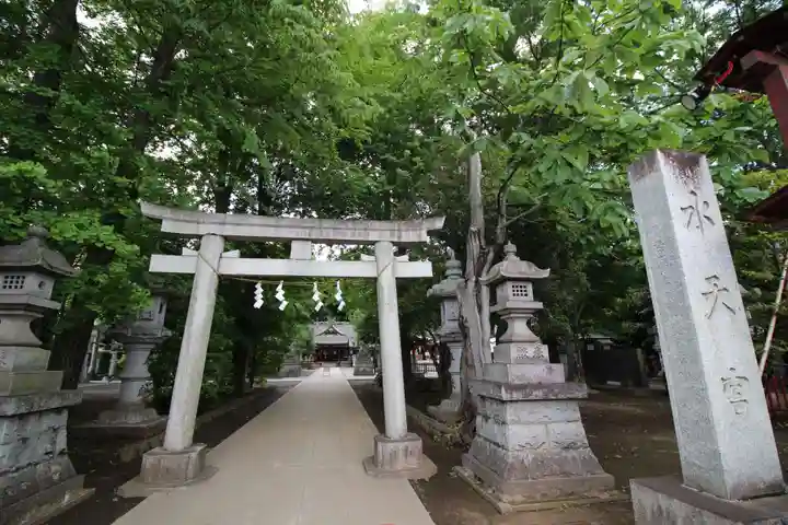 日枝神社水天宮の鳥居