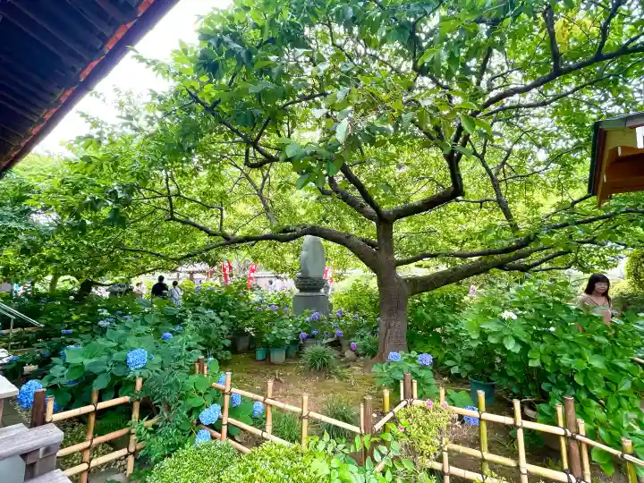 大慈寺(三重県)