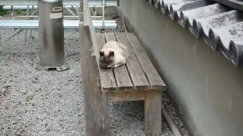 清滝寺(高知県)