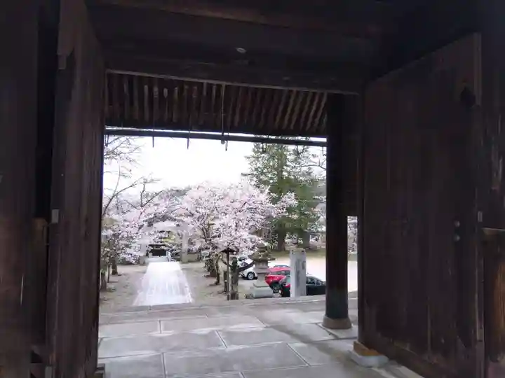 飛驒護國神社(岐阜県)