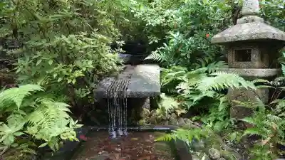 将軍塚青龍殿（青蓮院門跡）(京都府)