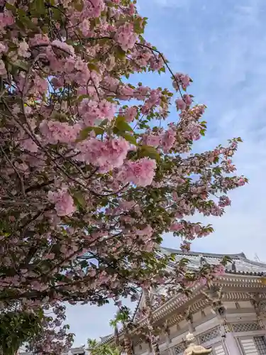 荘厳寺(東京都)