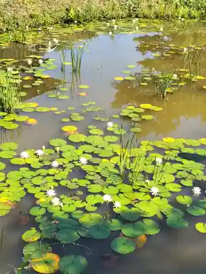 陽林寺(福島県)