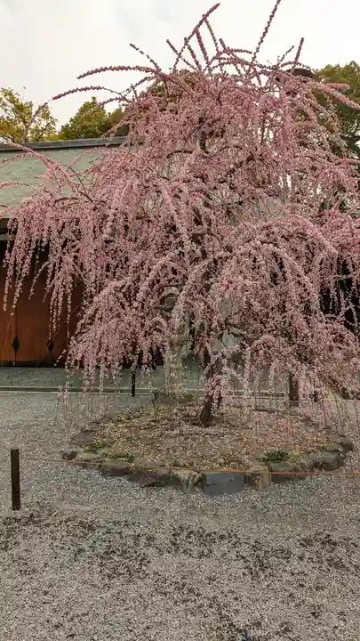 城南宮(京都府)