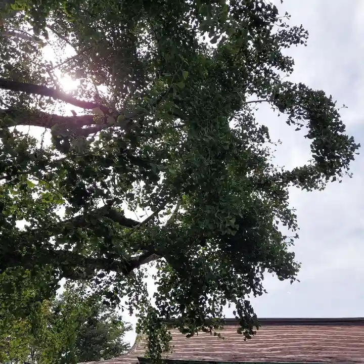 鎧神社のその他建物