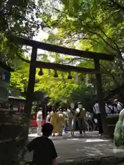 野宮神社の鳥居