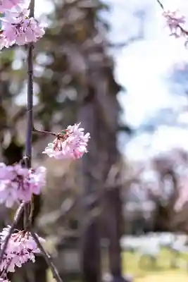 北野天満宮(京都府)