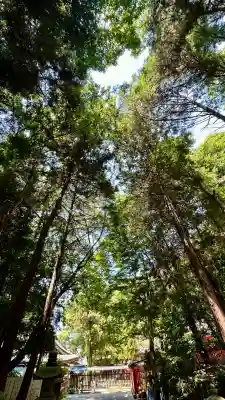 枚岡神社(大阪府)