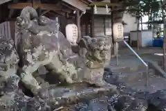 静岡神明宮の狛犬