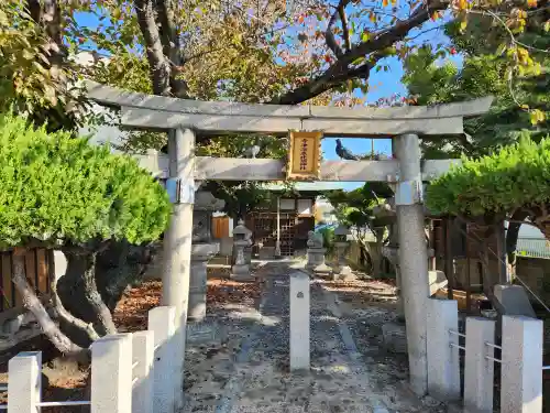 今津濱恵比須神社の鳥居