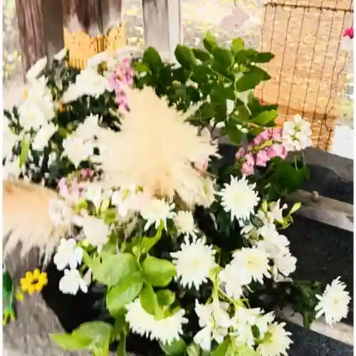 彌彦神社　(伊夜日子神社)(北海道)