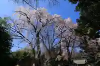 神炊館神社 ⁂奥州須賀川総鎮守⁂の庭園
