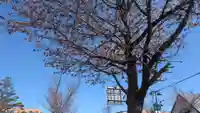 鳳隆寺の自然