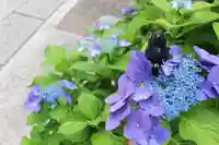 くまくま神社(導きの社 熊野町熊野神社)の自然