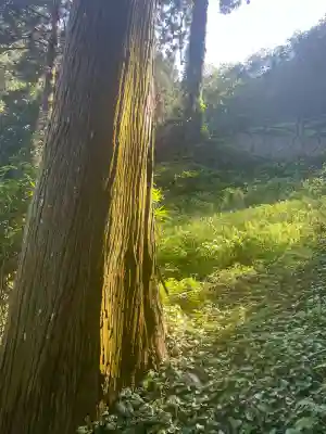 龍口神社(宮城県)