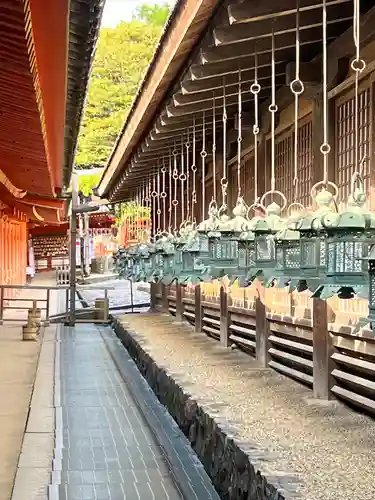 春日大社(奈良県)