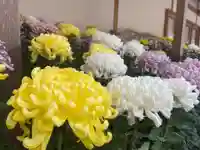 美奈宜神社(福岡県)