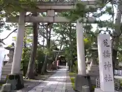 菟橋神社の鳥居