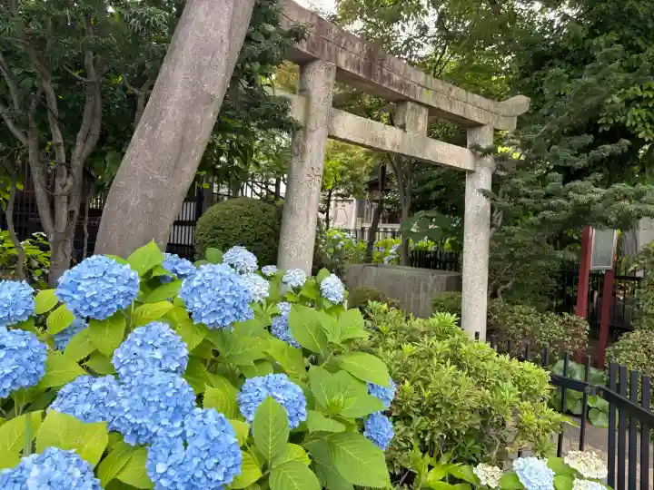 白山神社(東京都)