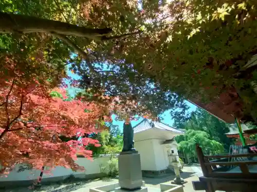 霊山寺の{uncategorized: "未分類", other: "その他", undefined: "問題あり", building: "その他建物", grave: "お墓", sacred_gate: "鳥居", guardian: "狛犬", statue: "像", buddha: "仏像", history: "歴史", nature: "自然", garden: "庭園", animal: "動物", pagoda: "塔", temizu: "手水舎", mountain_gate: "山門・神門", sanctuary: "本殿・本堂", subordinate: "末社・摂社", art: "芸術", scenery: "景色", jizo: "地蔵", ema: "絵馬", goshuin: "御朱印", omikuji: "おみくじ", items: "授与品その他", amulet: "お守り", goshuincho: "御朱印帳", eats: "食事", festival: "お祭り", votive_dance: "神楽", shichigosan: "七五三参", wedding: "結婚式", experience: "体験その他", initially: "初詣", around: "周辺", anti_infection: "感染症対策"}