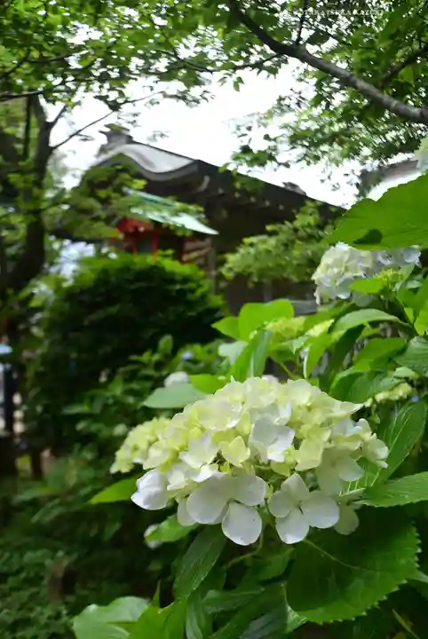 江島神社の自然