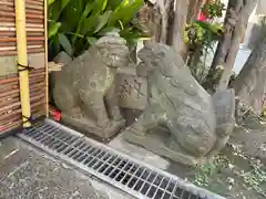 麻布氷川神社の狛犬