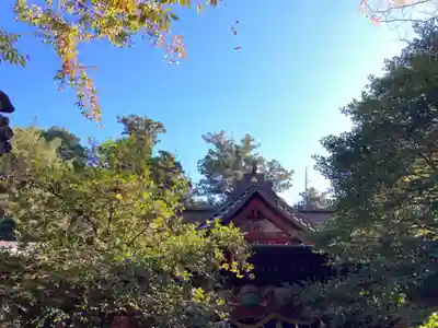 一ノ矢八坂神社(茨城県)