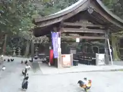 石上神宮の動物