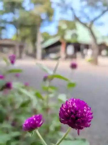 妙法寺(東京都)