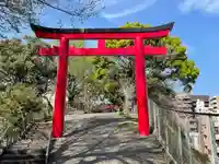 (芝生)浅間神社の鳥居