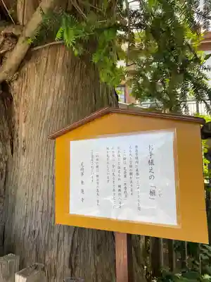 乗蓮寺(神奈川県)