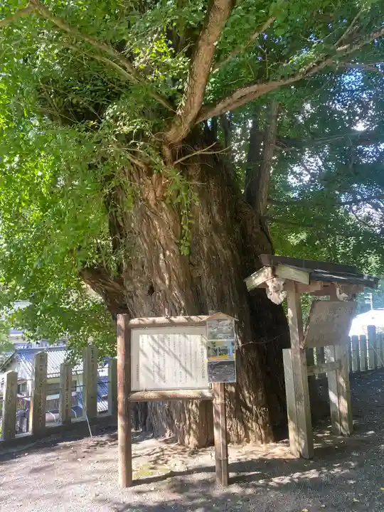 素盞雄神社(奈良県)