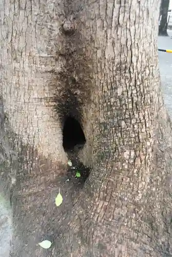 お三の宮日枝神社(神奈川県)