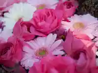 法輪寺(東京都)