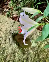 滑川神社 - 仕事と子どもの守り神の自然