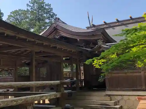 出石神社の本殿