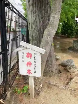 松先稲荷神社(千葉県)