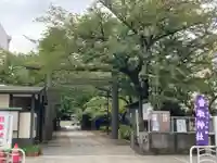 亀戸 香取神社の鳥居