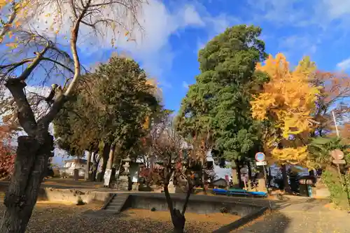 熊野福藏神社の景色