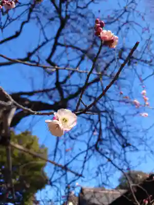 亀ケ池八幡宮(神奈川県)
