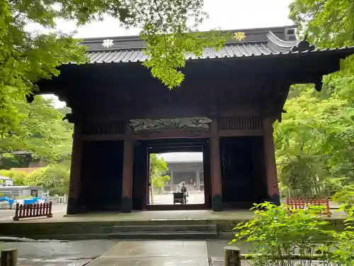 妙本寺(神奈川県)