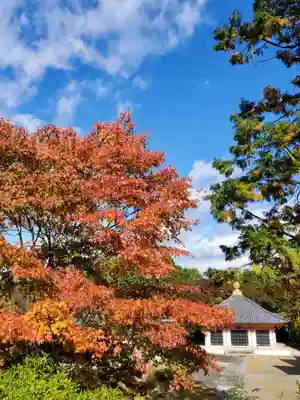 願成寺(福島県)