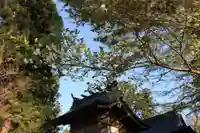 諏訪神社の本殿・本堂