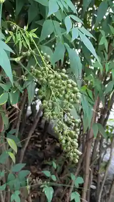 京都大神宮(京都府)