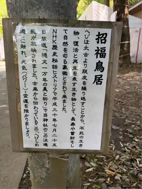 下野 星宮神社(栃木県)