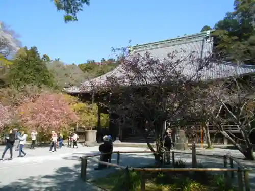 妙本寺の本殿・本堂