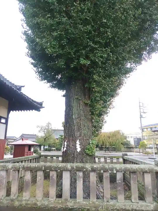 諏訪神社(群馬県)